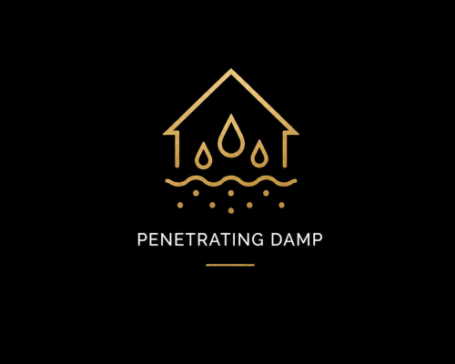 penetratingdamplogo